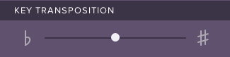Screenshot of transposition slider
